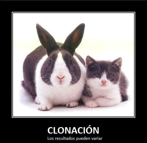 clonacion