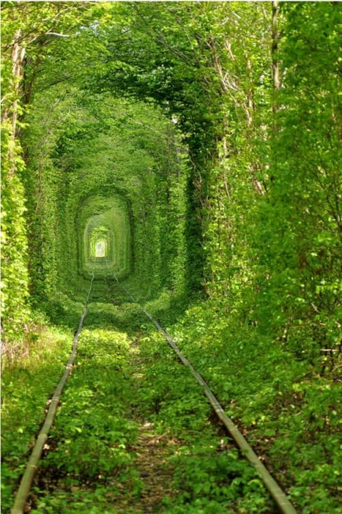 tunel verde e1313221067456