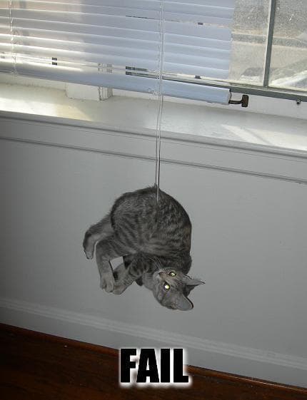 danglecat