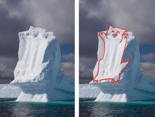 gatito en el glaciar