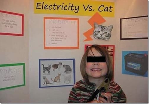 electricidad vs gato thumb