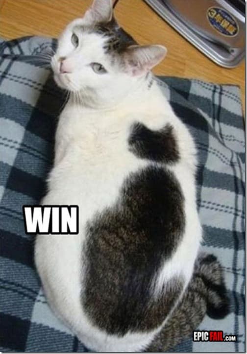 funny picdump 68 640 01 thumb