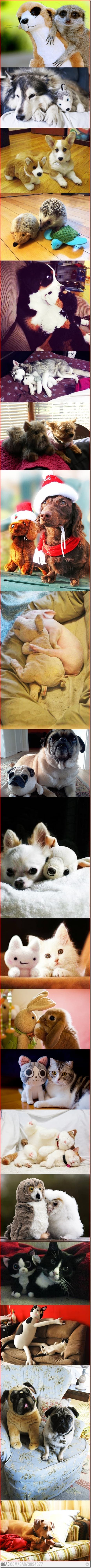 fake vs real thumb