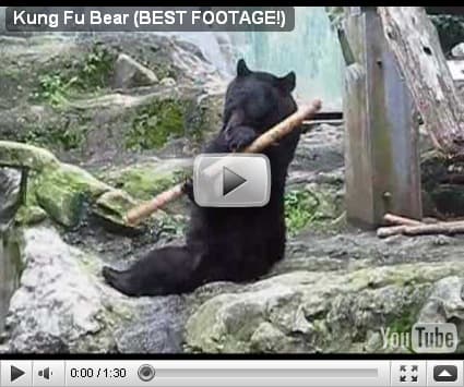 videoc5e7518ff6a8