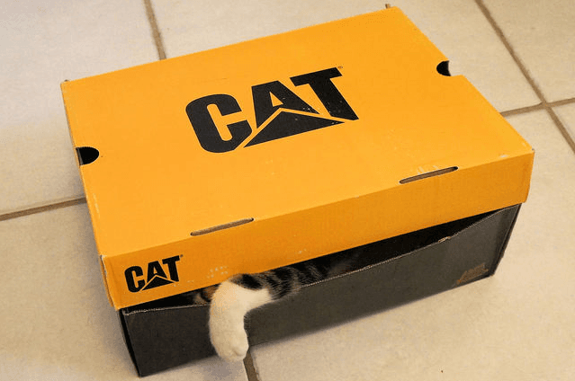 miau
