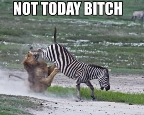 not today
