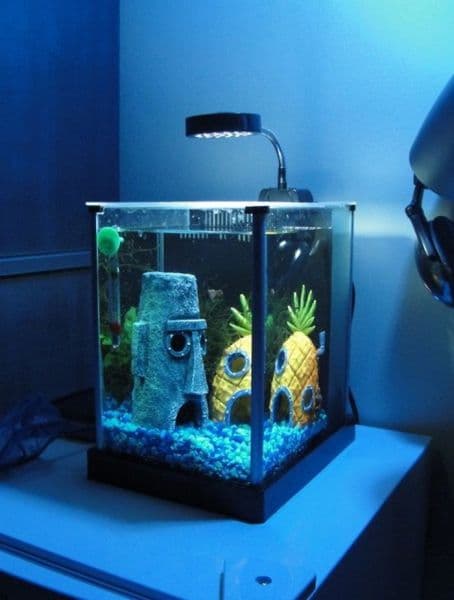 acuario de bob esponja