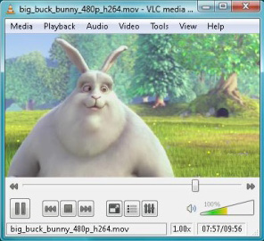 vlc win32