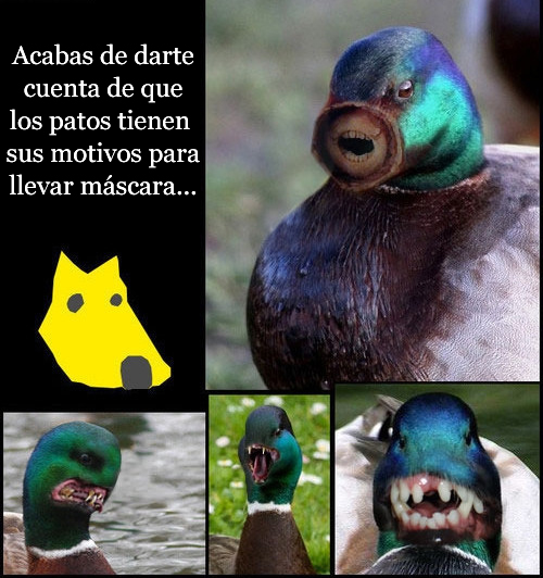 tumblr l9f4ozr9ht1qbdc3uo1 500