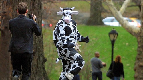 muuuu e1304132841189