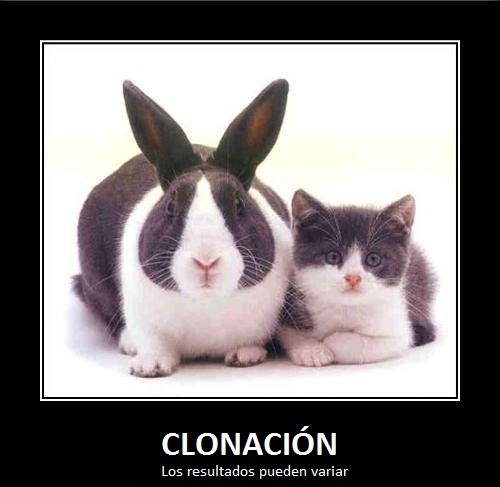 clonacion