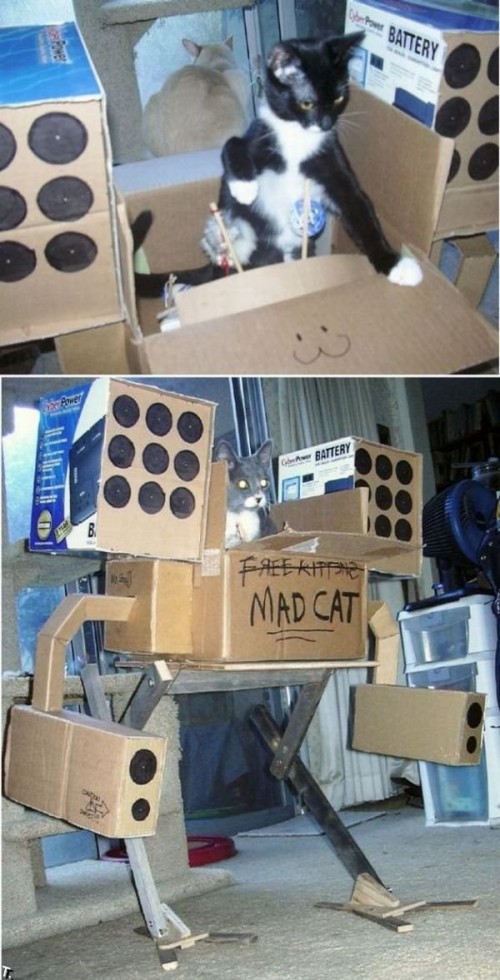 robogato e1314838150524