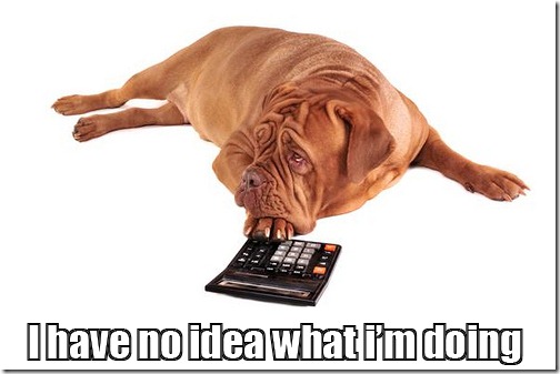 Dog with a Calculator