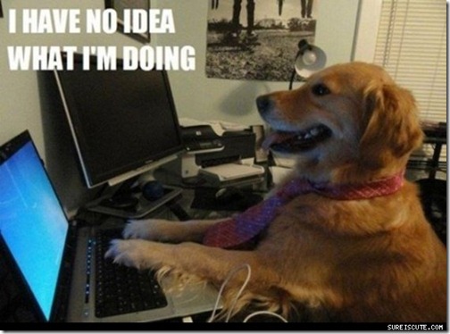 I-Have-No-Idea-What-Im-Doing-12