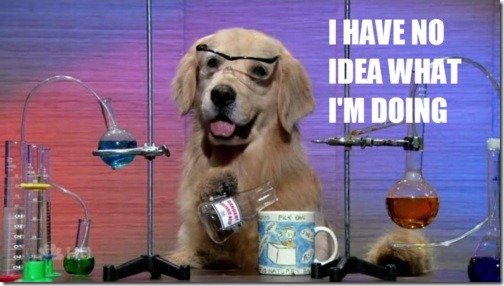 I-Have-No-Idea-What-Im-Doing-15