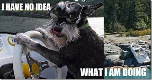 I-Have-No-Idea-What-Im-Doing-1