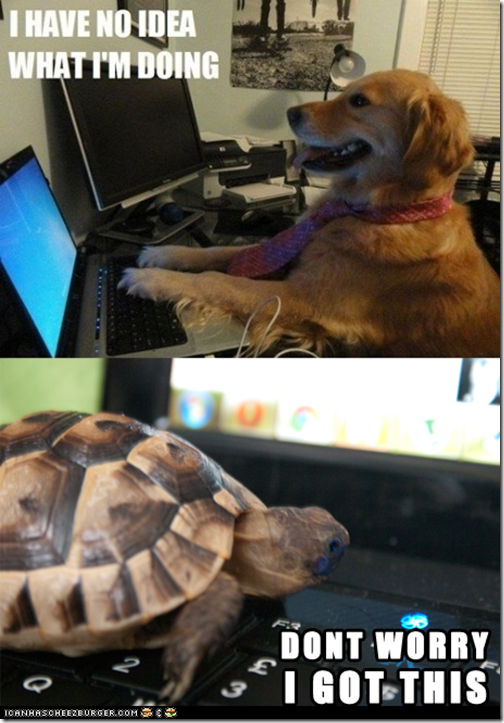 I-Have-No-Idea-What-Im-Doing-2