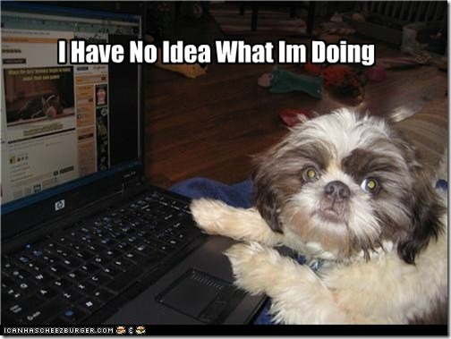 I-Have-No-Idea-What-Im-Doing-6