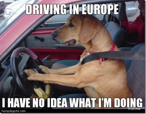 I-Have-No-Idea-What-Im-Doing-9